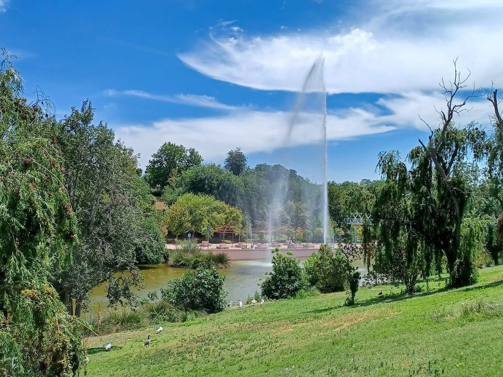 Parque de Andalucía: lago, patos y dinosaurio (Alcobendas) 4