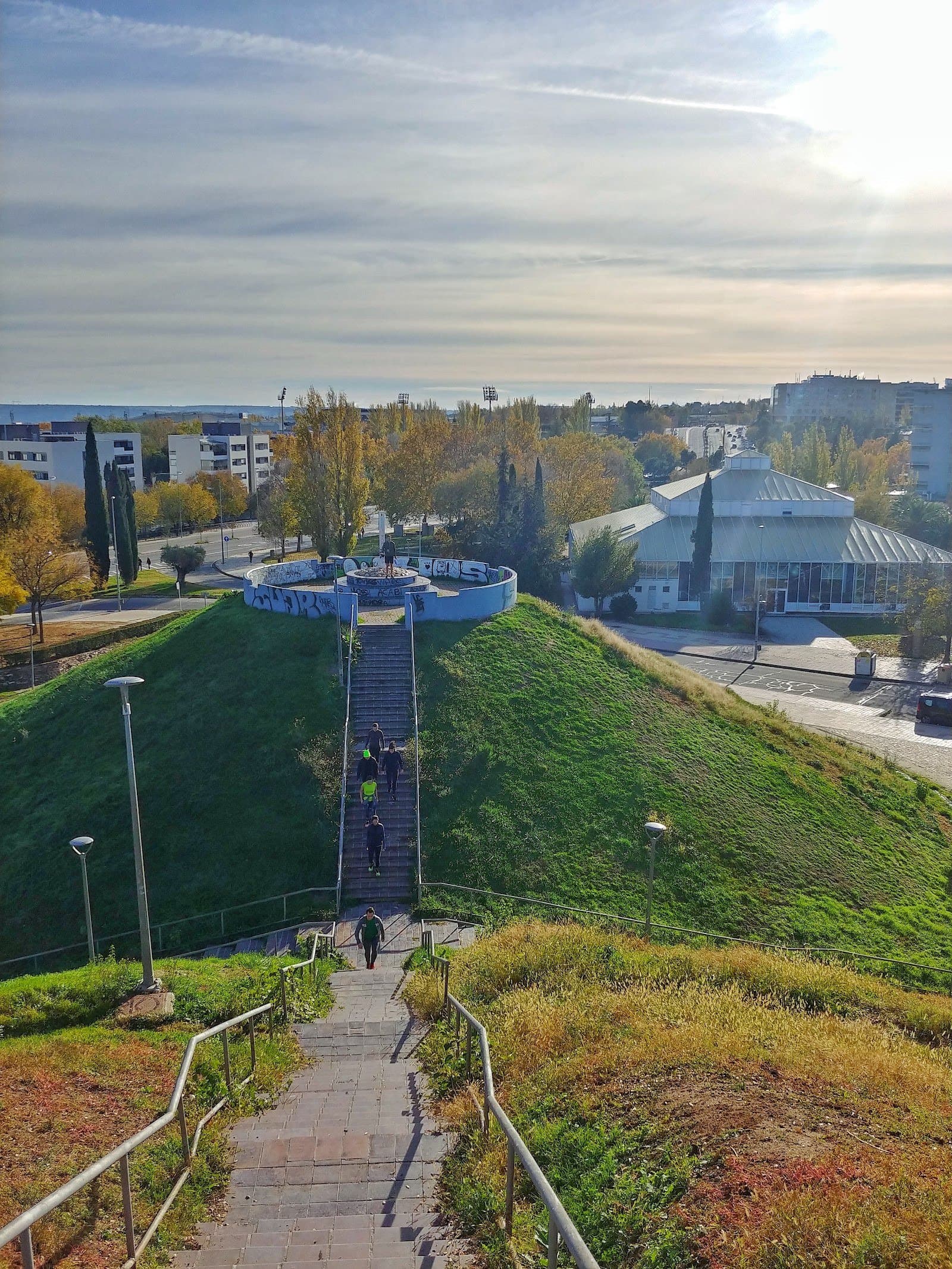 Parque del Arroyo de la Vega: paseo largo entre glicinias (Alcobendas) 4