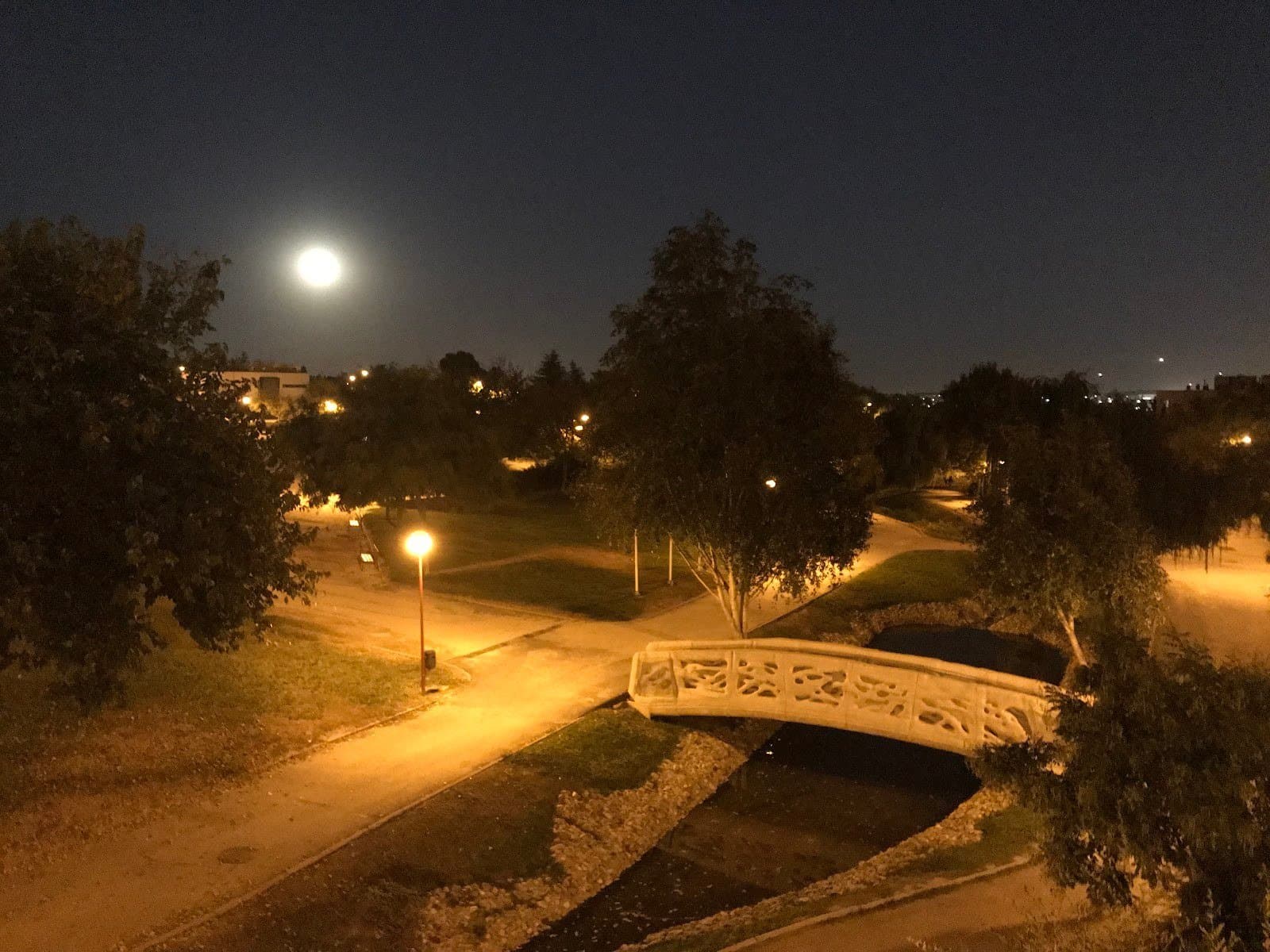 Parque de Castilla-La Mancha: lago, sauces y huertos urbanos (Alcobendas) 3