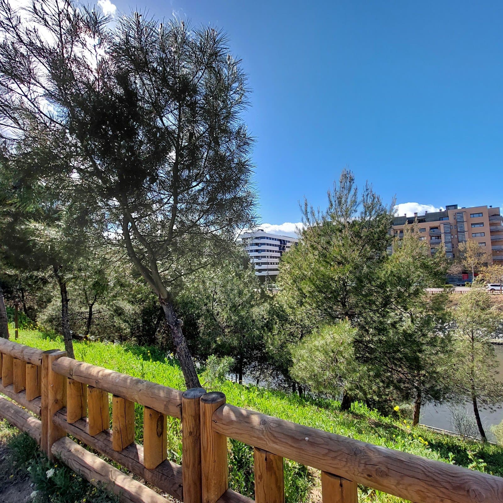 Estanque de Tormentas: reserva urbana de libélulas (Getafe) 2