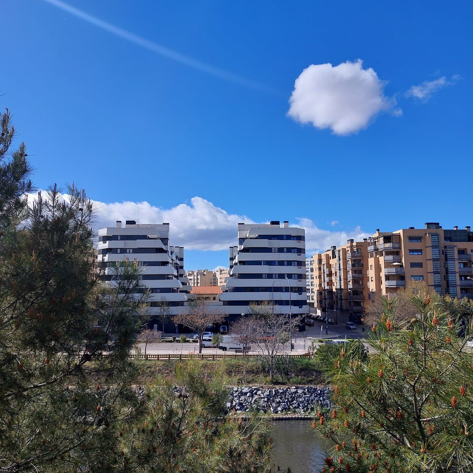 Estanque de Tormentas: reserva urbana de libélulas (Getafe) 4