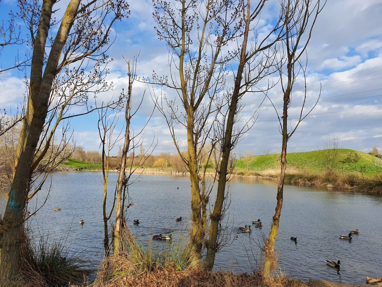 Parque Forestal de Polvoranca (Leganés) 4