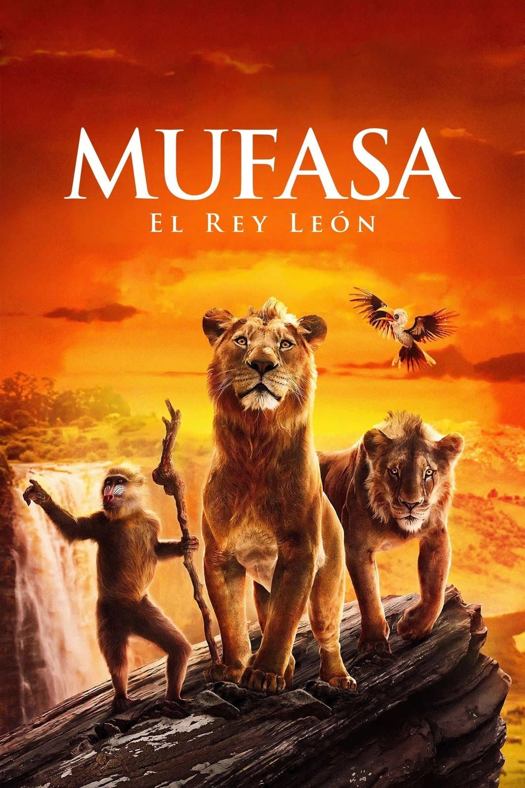 Cine de Verano 2026 en Alcobendas: «Mufasa: el rey león»