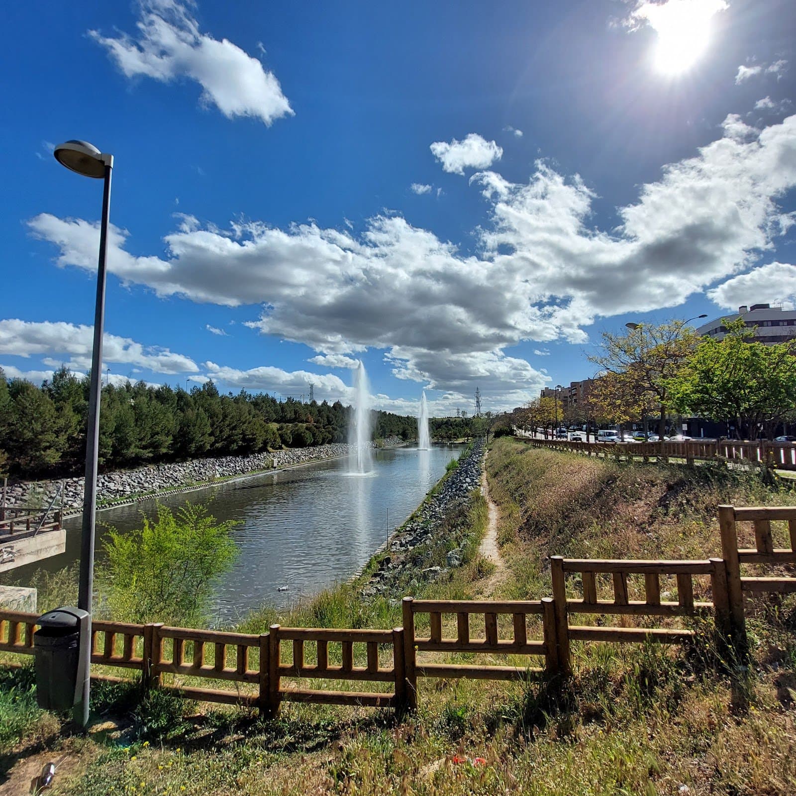 Estanque de Tormentas: reserva urbana de libélulas (Getafe)