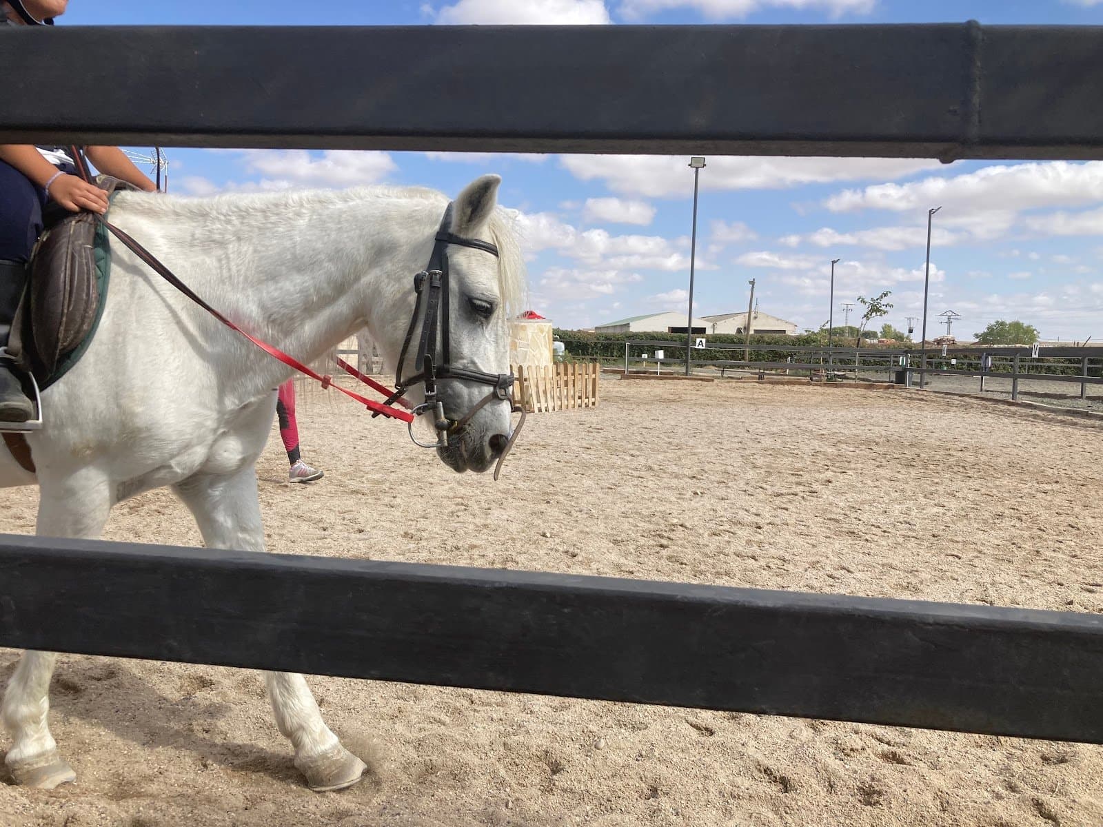 Hípica Equus ELM (Alcalá de Henares): a caballo y en poni en familia