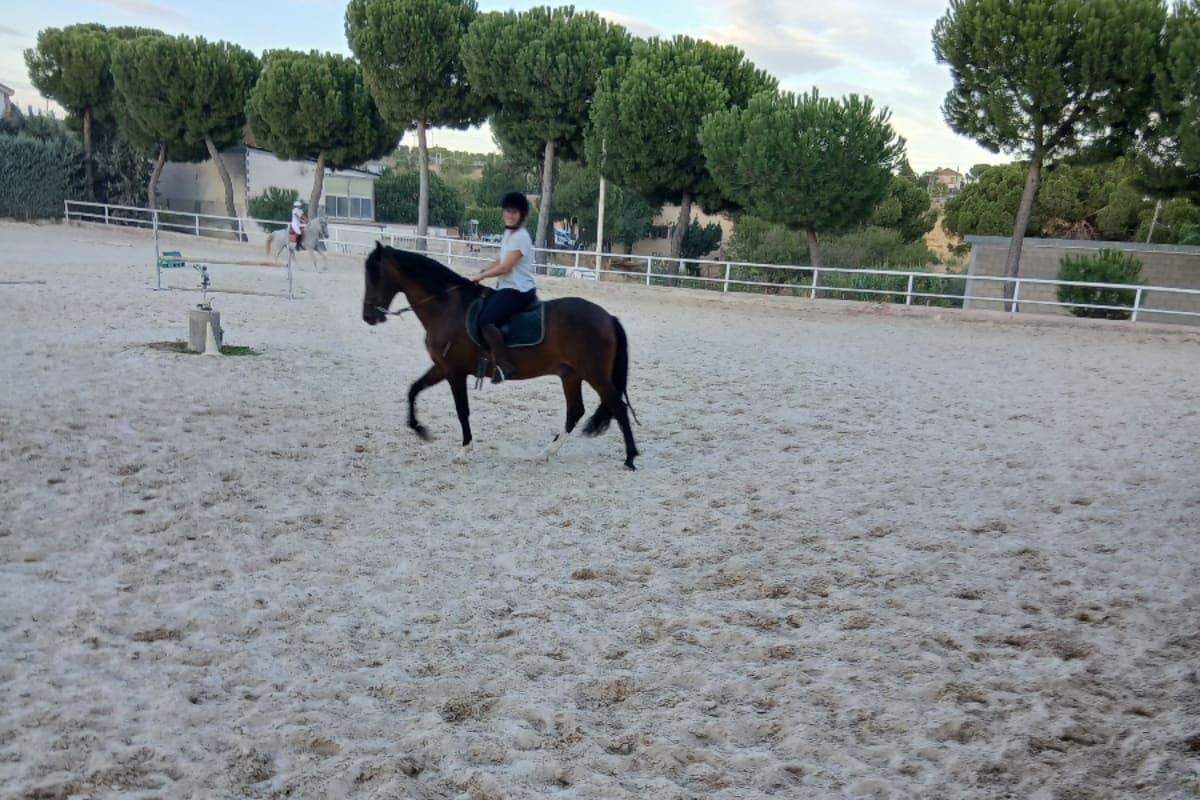 Rutas y clases a caballo en la Escuela de Henry