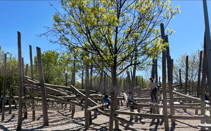 El Esqueleto de Madrid Río: trepar entre troncos en Arganzuela 2