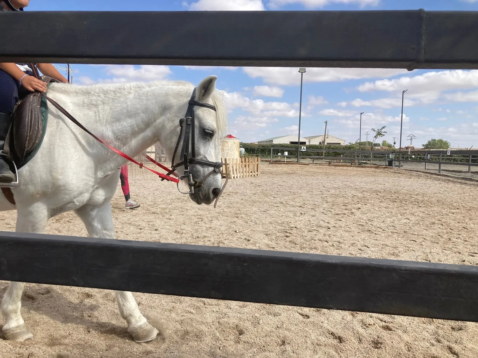 Hípica Equus ELM (Alcalá de Henares): a caballo y en poni en familia