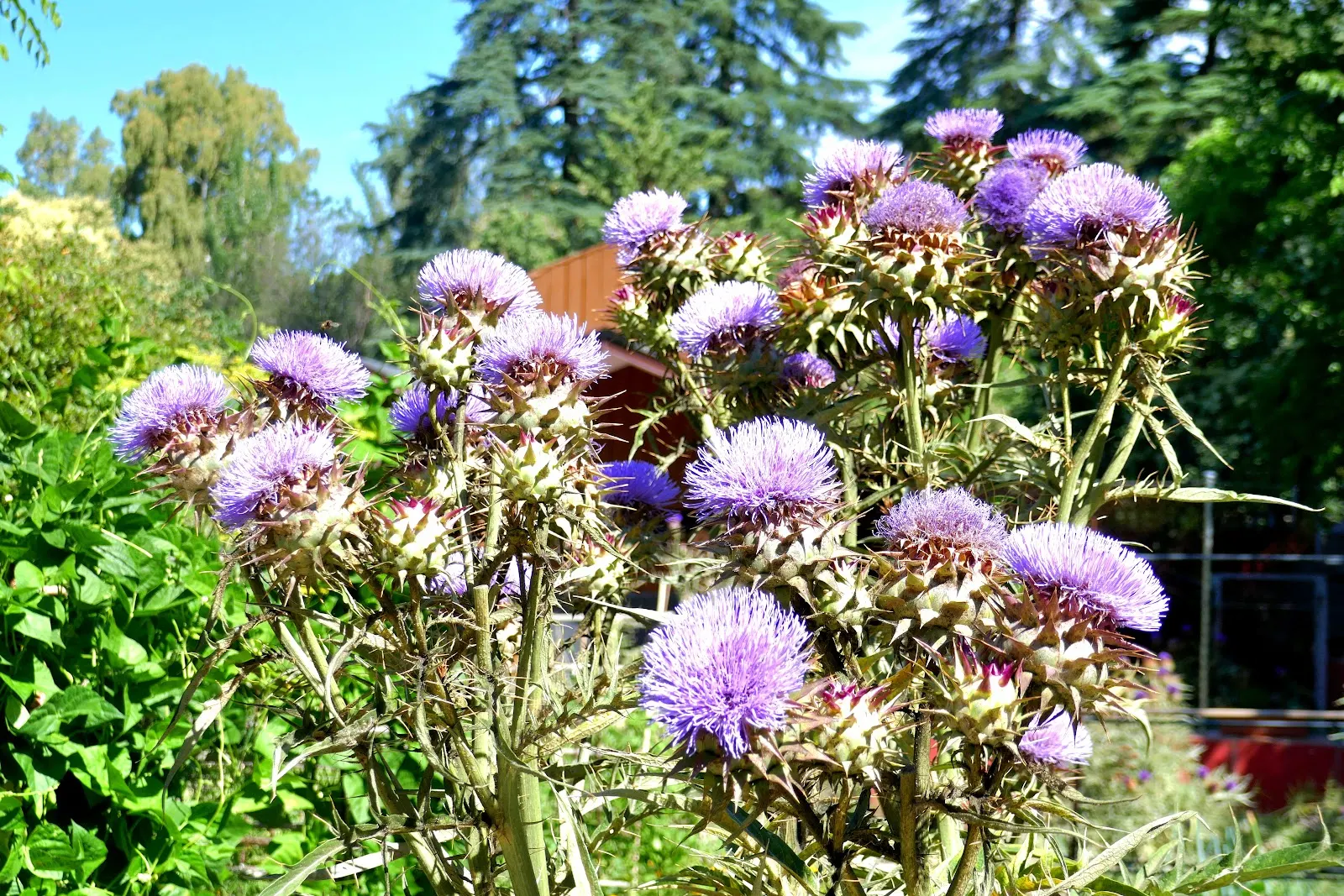 Talleres de naturaleza en familia en La Cabaña del Retiro 2