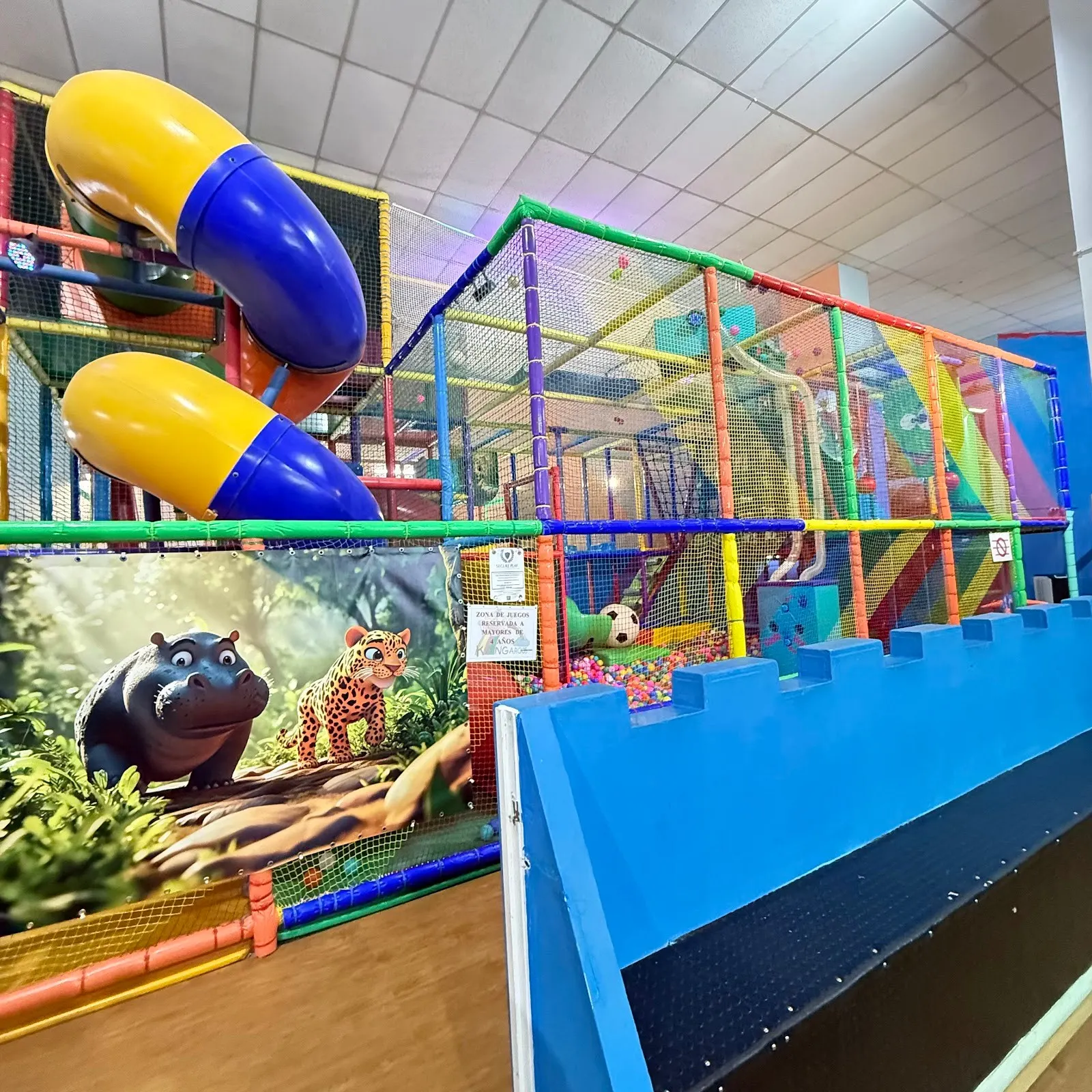 Parque Infantil Kangaroo's: parque de bolas y juego libre 1