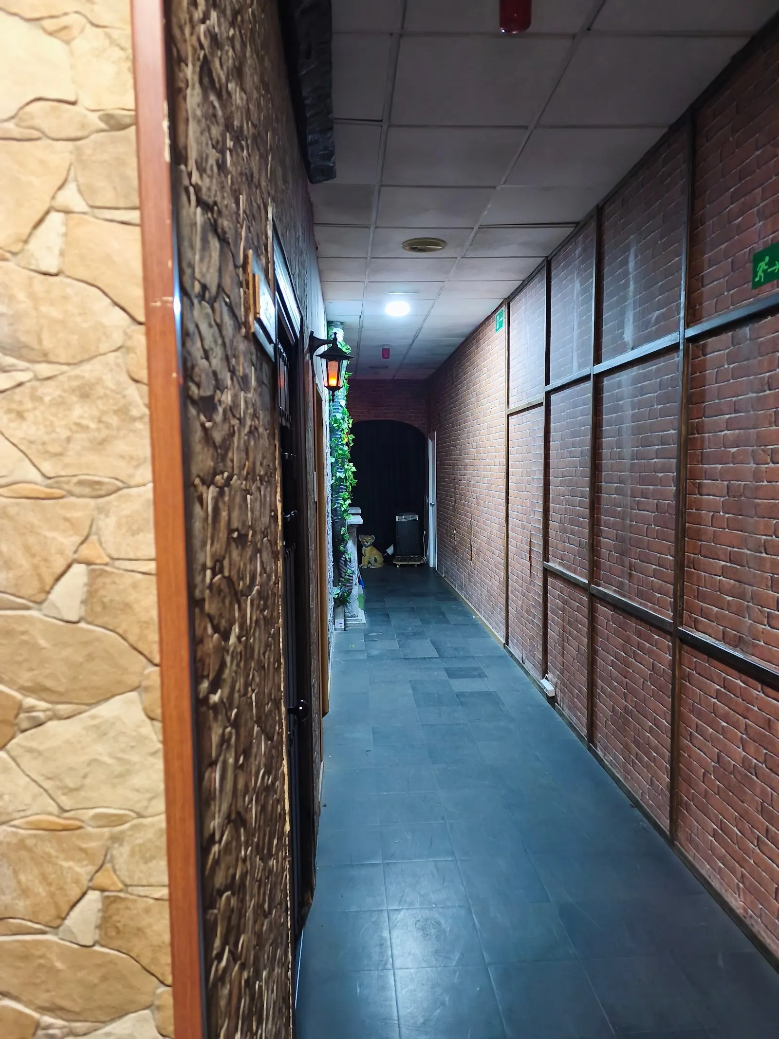 Illusion Escape Room
