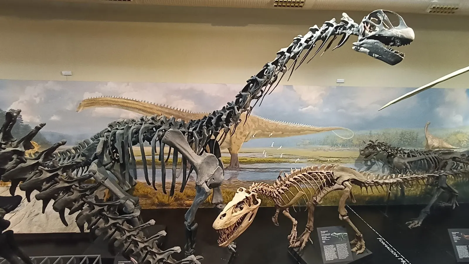 Museo Nacional de Ciencias Naturales: dinosaurios en Madrid 2