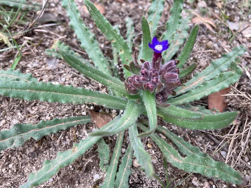Ecoaventura veraniega en el Parque de Valdebebas 3