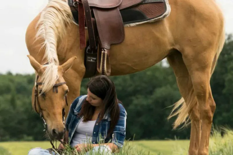 Excursión a caballo por la Sierra de Guadarrama