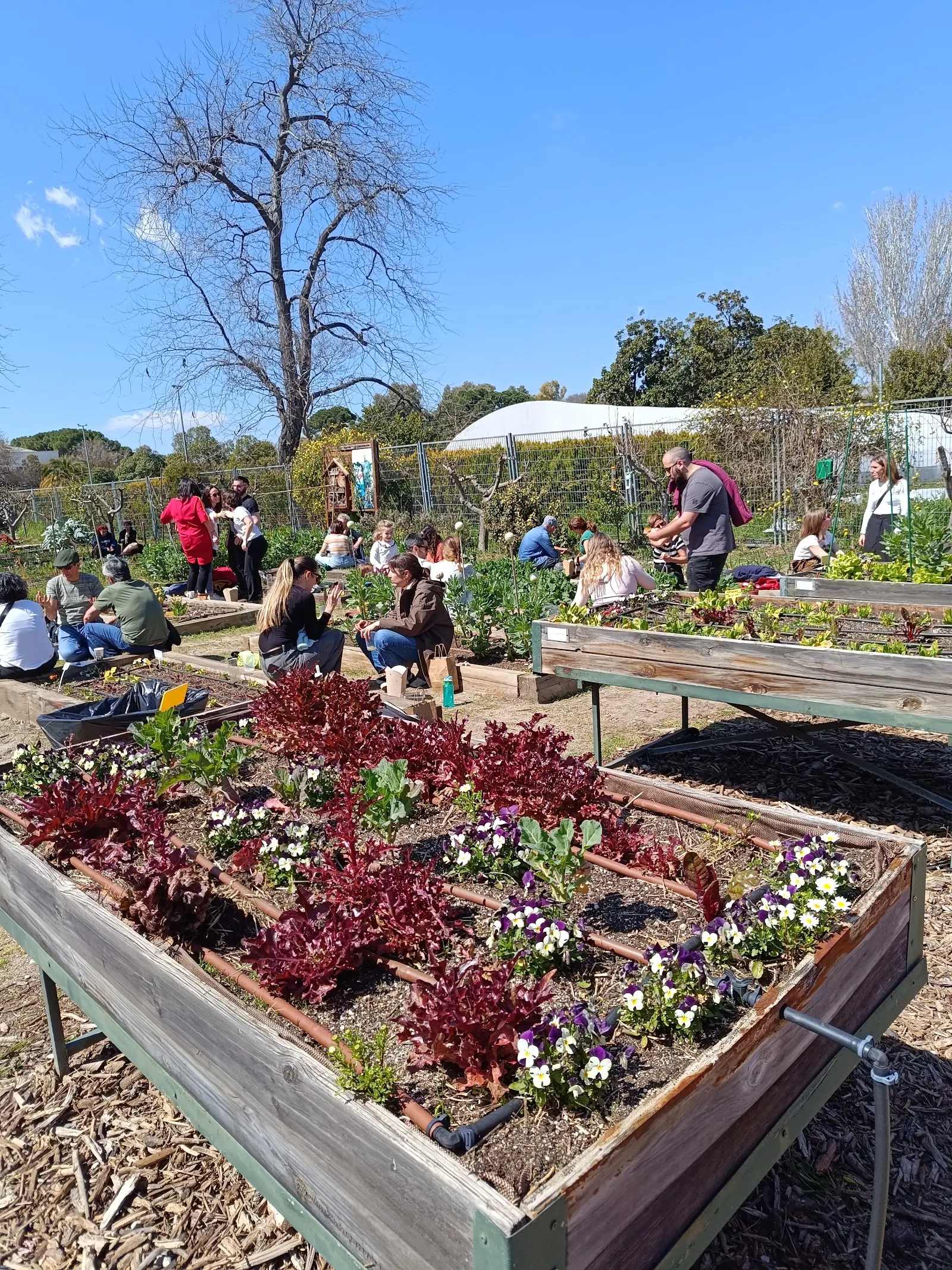 «Los más pequeños también plantamos», el huerto del Retiro con cuentos y adivinanzas