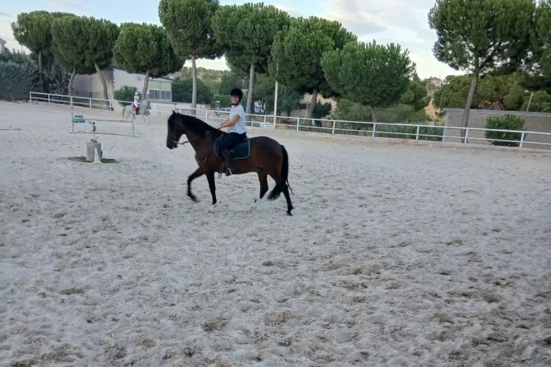 Rutas y clases a caballo en la Escuela de Henry